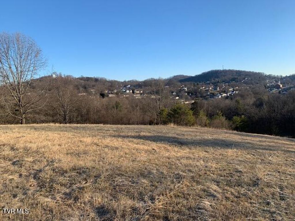 Photo of 2005 Fairveiw Avenue, Kingsport, TN 37665 (MLS # 9991117)