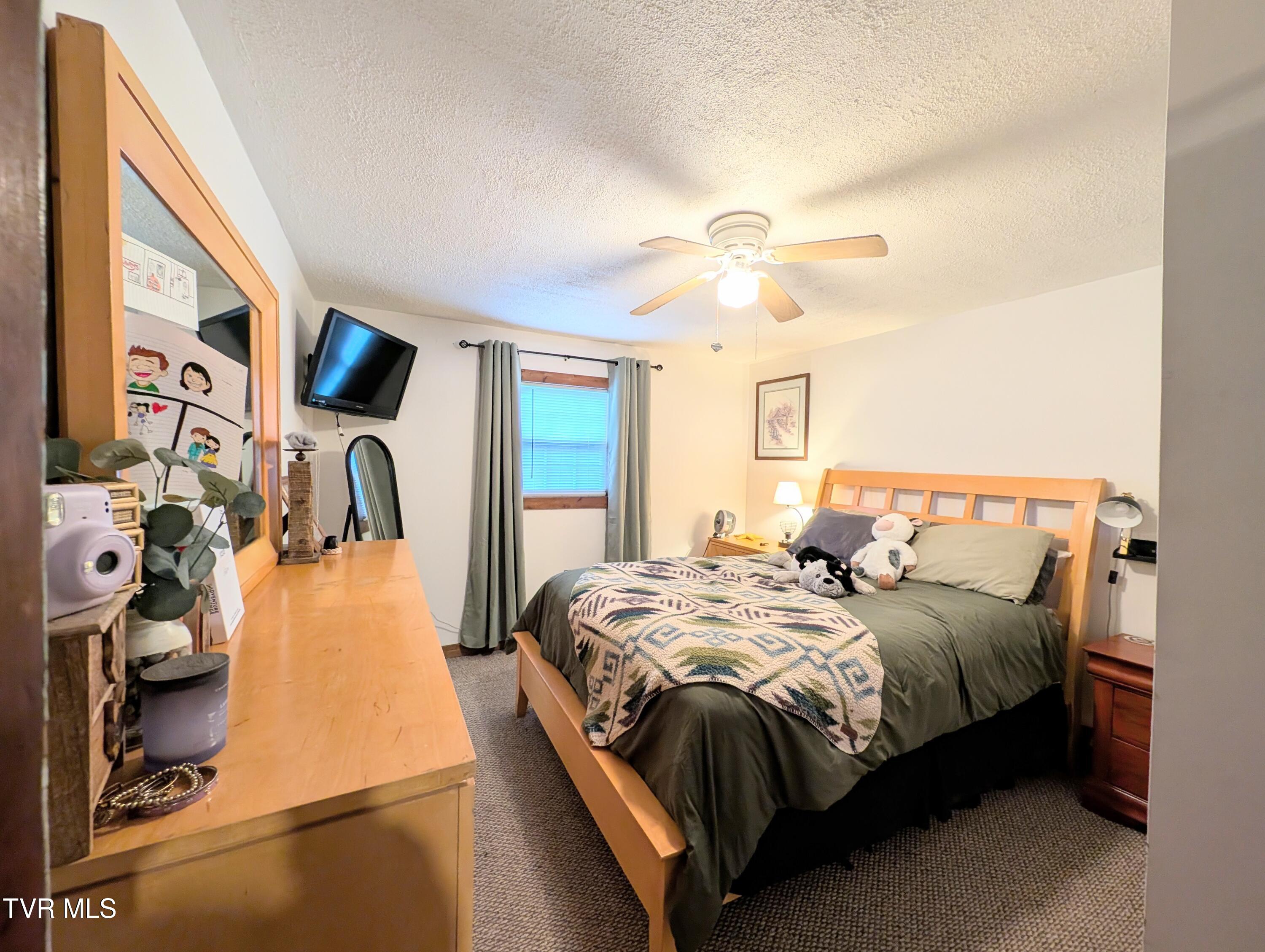 3645 Dc Caney Ridge Road, Clintwood, Virginia image 29