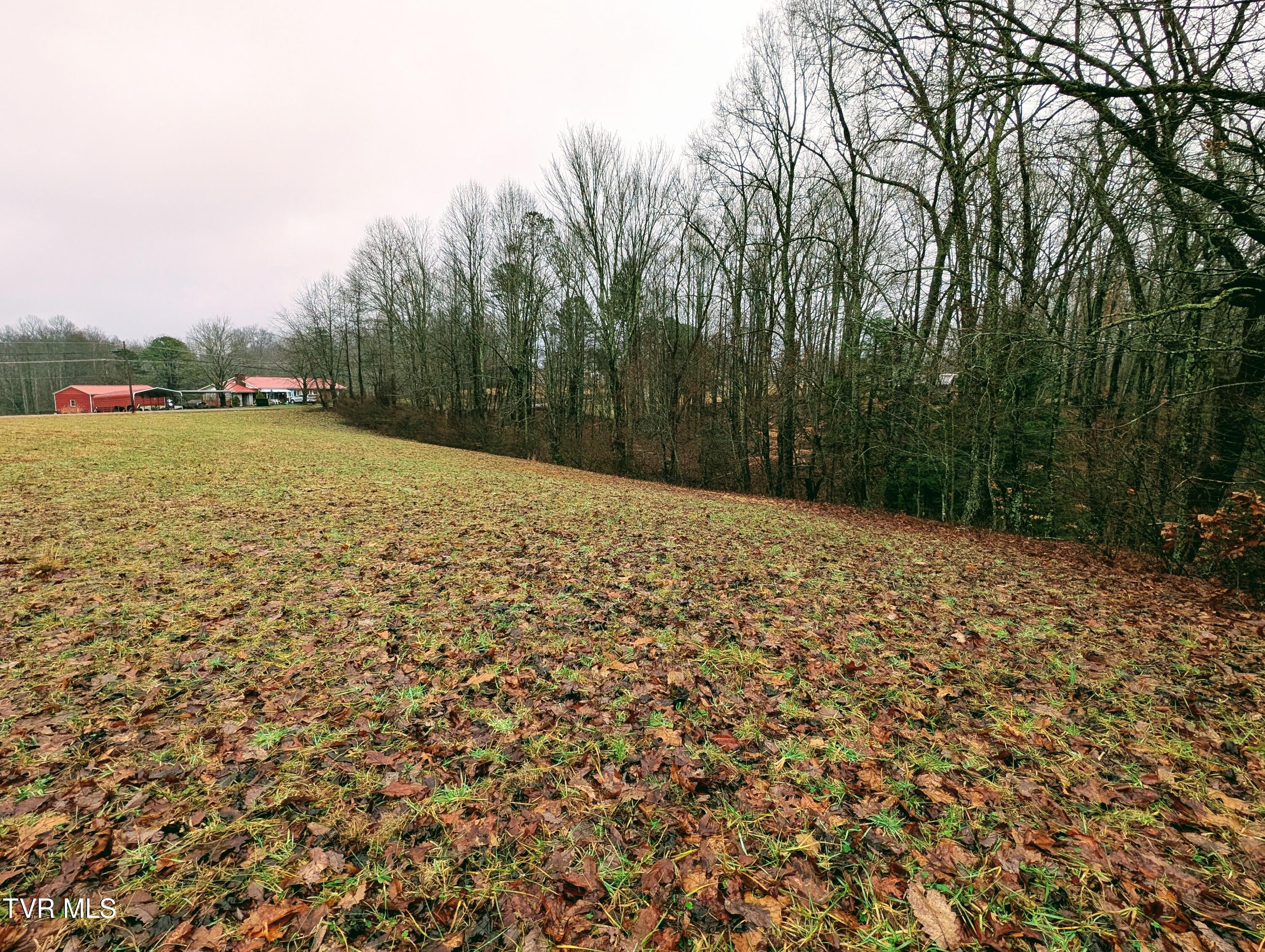 3645 Dc Caney Ridge Road, Clintwood, Virginia image 13