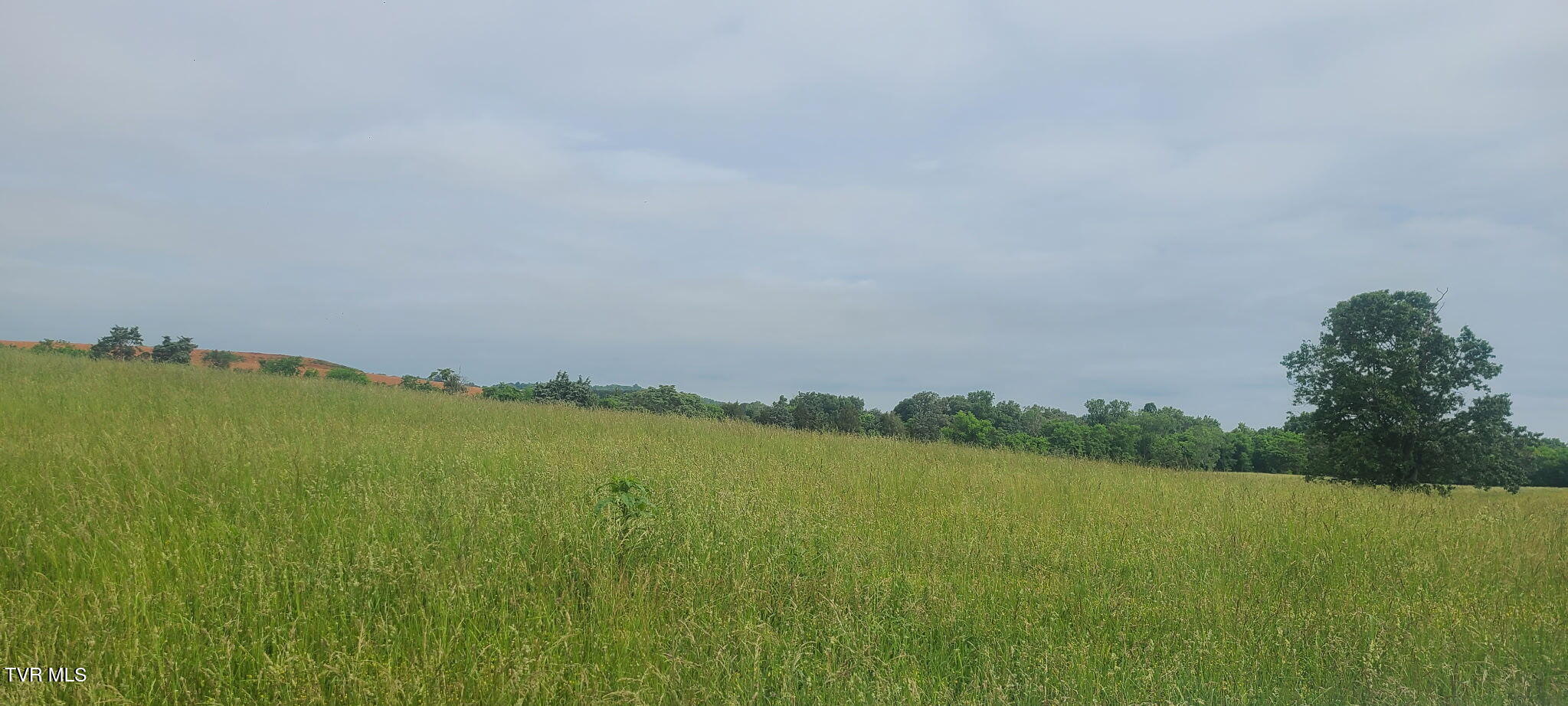 Lot 5 Valley Home Road, Dandridge, Tennessee image 2
