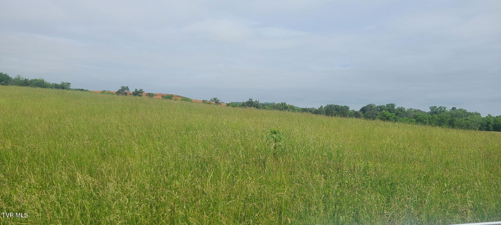 Lot 5 Valley Home Road, Dandridge, Tennessee image 3