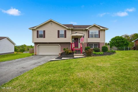 Photo of 315 Old Embreeville Road, Jonesborough, TN 37659 (MLS # 9993951)