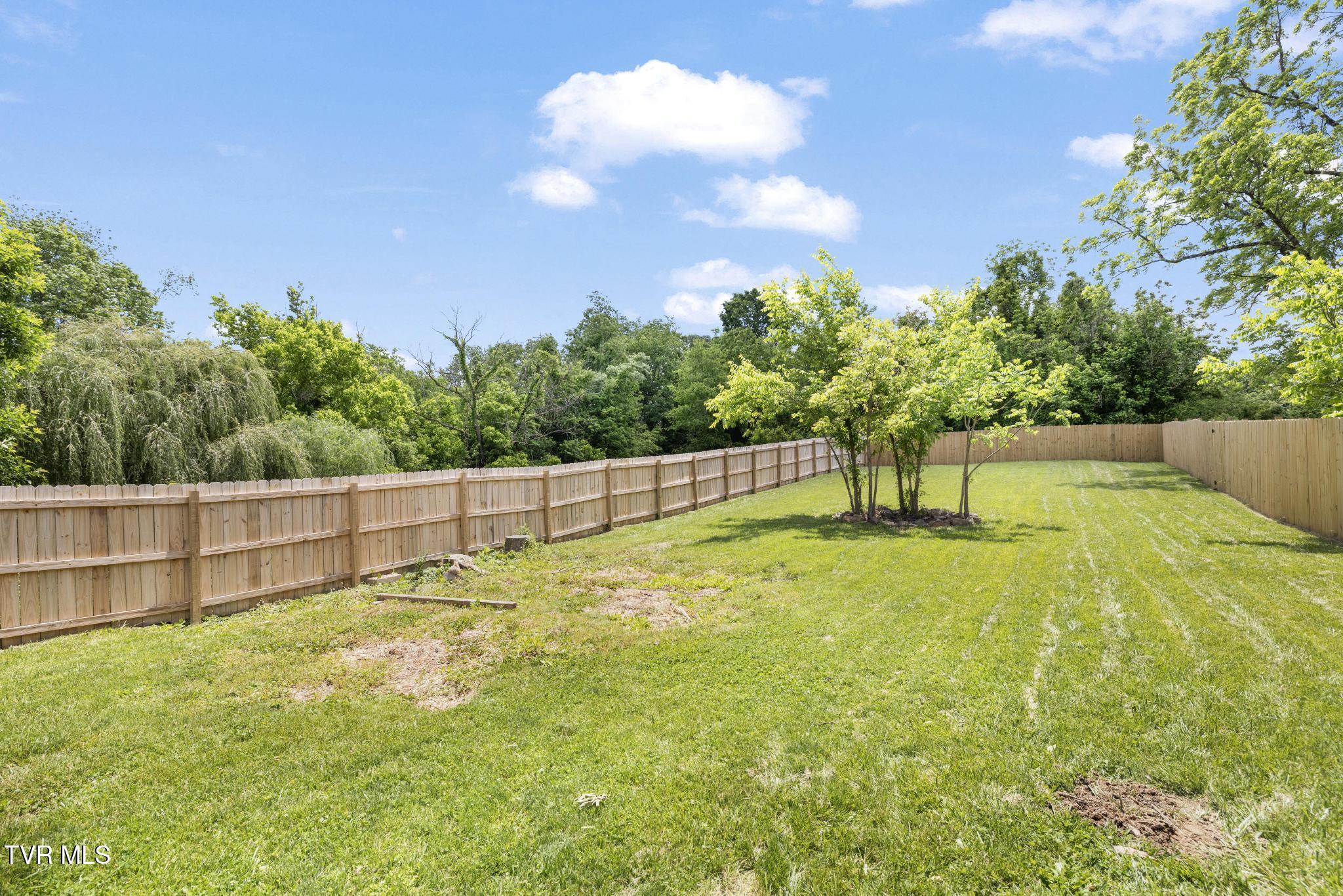 4217 Sullivan Gardens Drive, Kingsport, Tennessee image 40