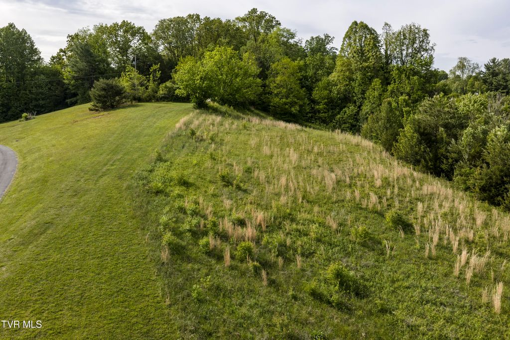 Photo of Tbd Old Lewis Road, Johnson City, TN 37601 (MLS # 9994753)