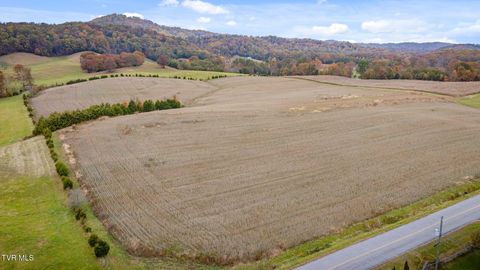 Vacant Land For Sale - 6795 (tbd) Gap Creek Rd Rd<br/> Bulls Gap, TN 37711