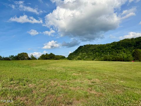 Vacant Land For Sale - 6795 (tbd) Gap Creek Rd Rd<br/> Bulls Gap, TN 37711