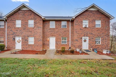 Photo of 807 Swadley Road #2, Johnson City, TN 37601 (MLS # 9989007)