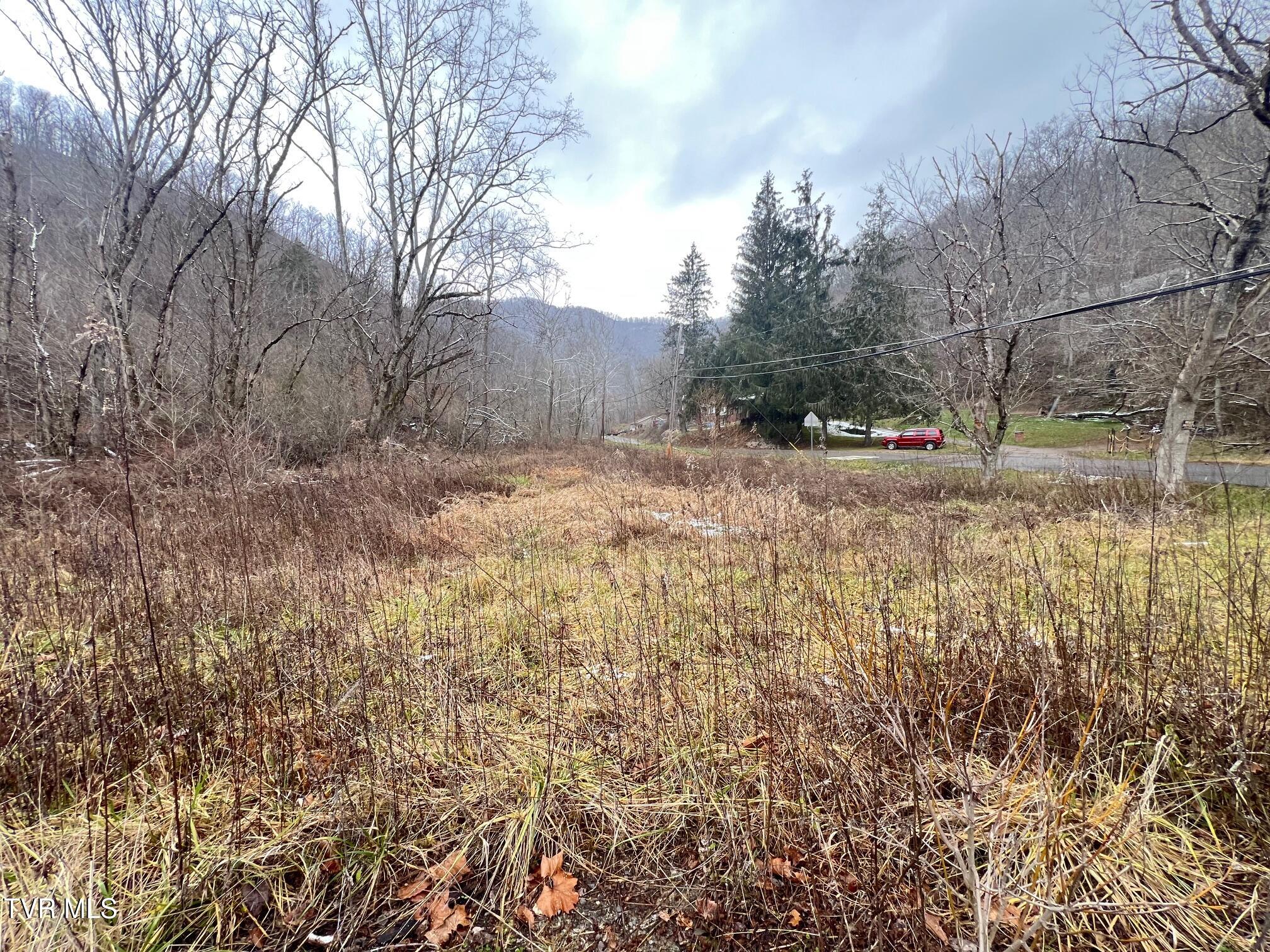 505 Clyde Pearson Road, Jonesville, Virginia image 9