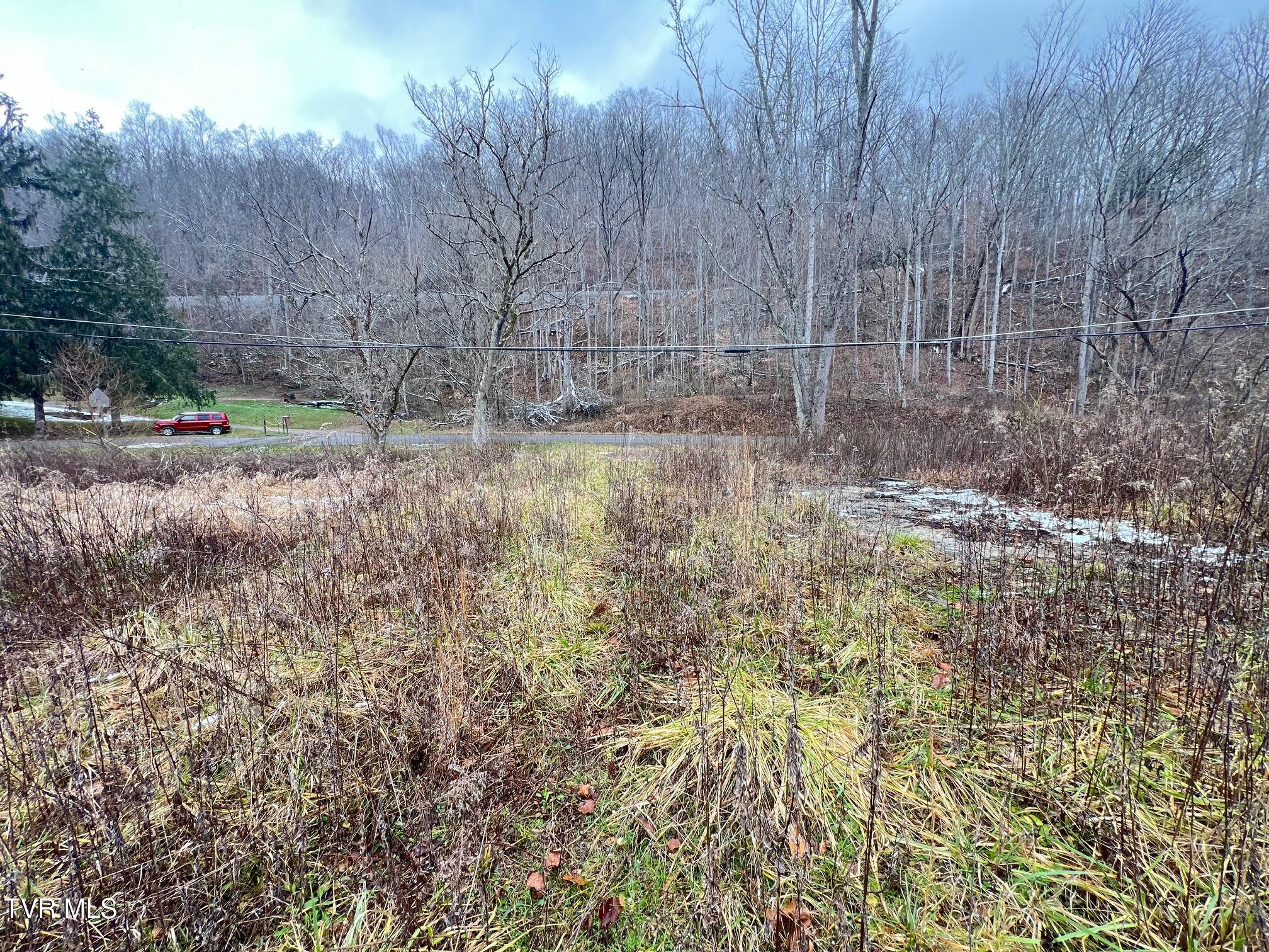 505 Clyde Pearson Road, Jonesville, Virginia image 13