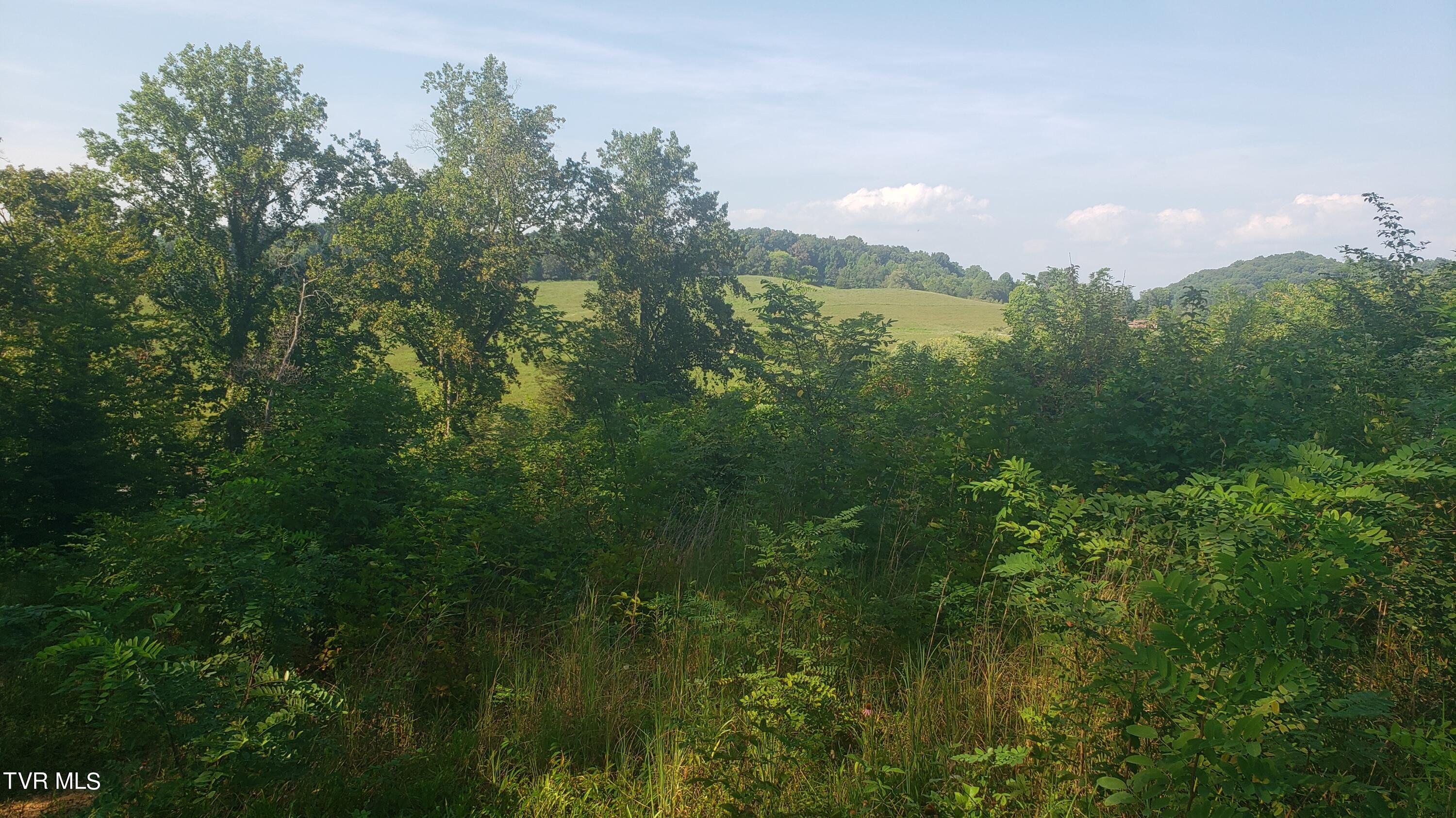 2882-2892 Island Road, Blountville, Tennessee image 14