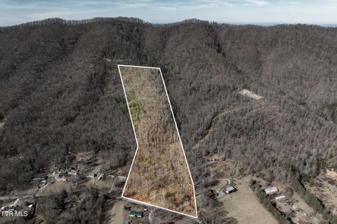 Vacant Land For Sale - TBD Buchanan Road<br/> Jonesborough, TN 37659