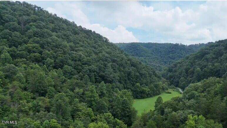 Photo of 0 Ford Branch Road, Duffield, VA 24244 (MLS # 9999316)