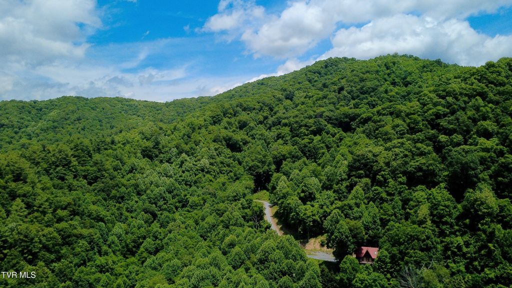 Photo of 115 Deer Run Drive, Flag Pond, TN 37657 (MLS # 9996967)