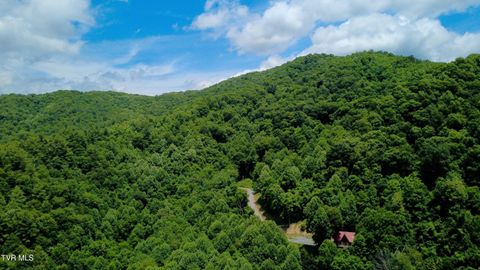 Vacant Land For Sale - 115 Deer Run Drive<br/> Flag Pond, TN 37657