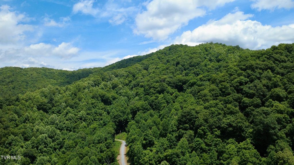 Photo of 115 Deer Run Drive, Flag Pond, TN 37657 (MLS # 9996967)