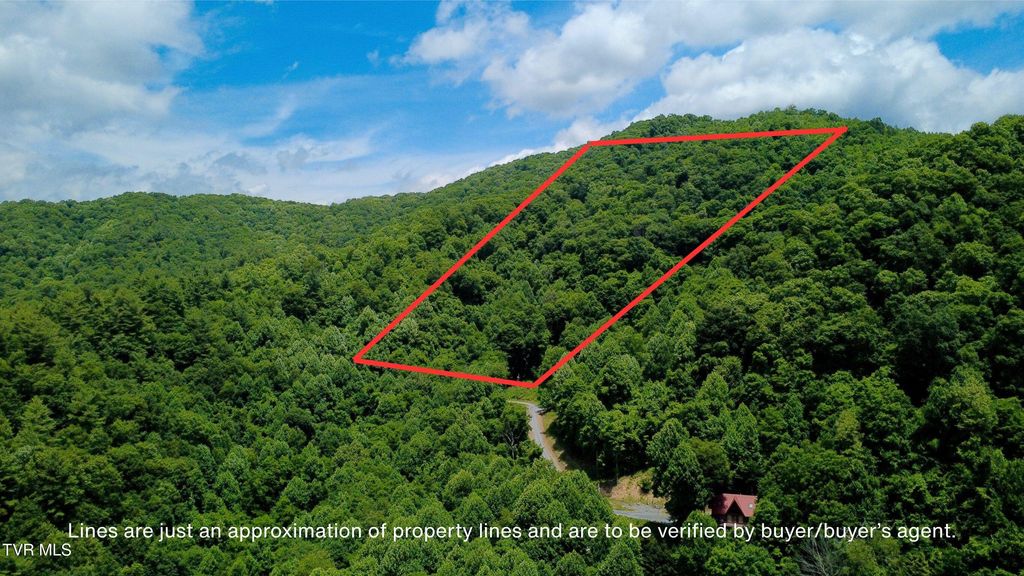 Photo of 115 Deer Run Drive, Flag Pond, TN 37657 (MLS # 9996967)