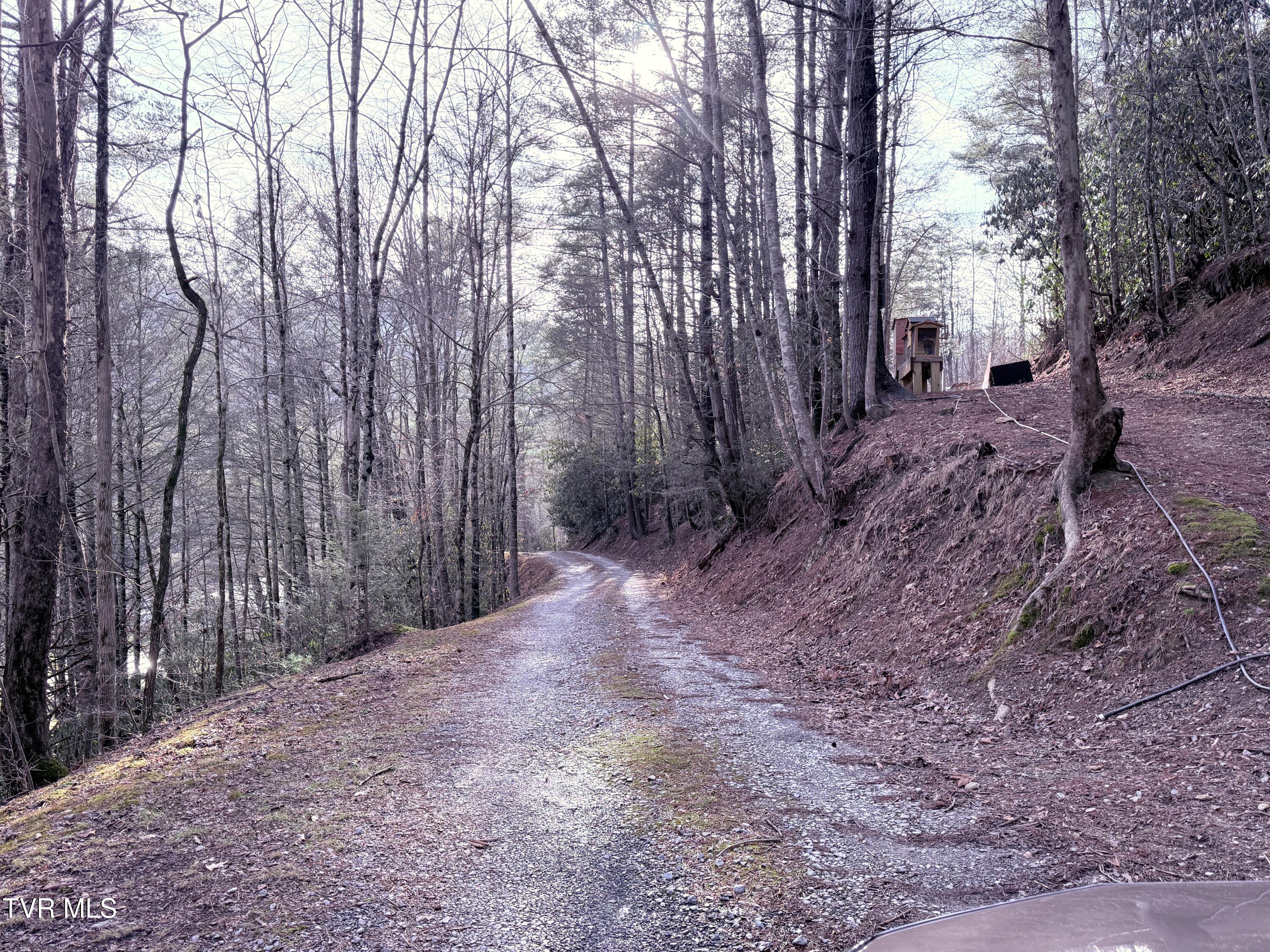 1560 Blue Mill Road, Del Rio, Tennessee image 33
