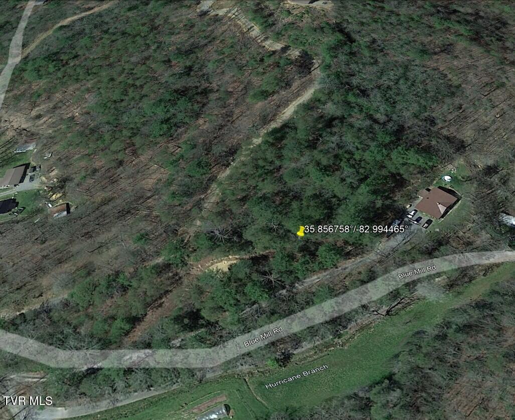 1560 Blue Mill Road, Del Rio, Tennessee image 34