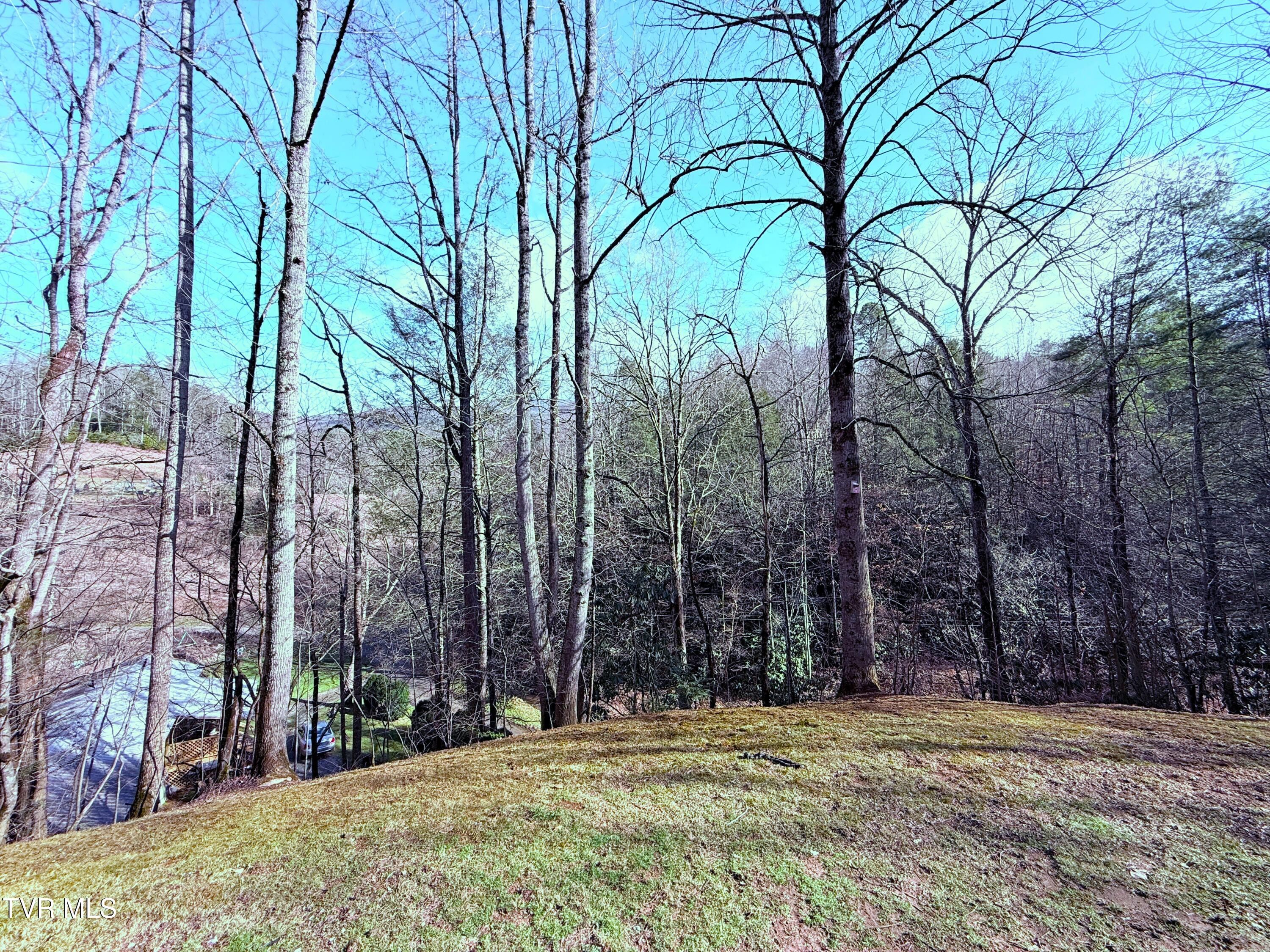 1560 Blue Mill Road, Del Rio, Tennessee image 31