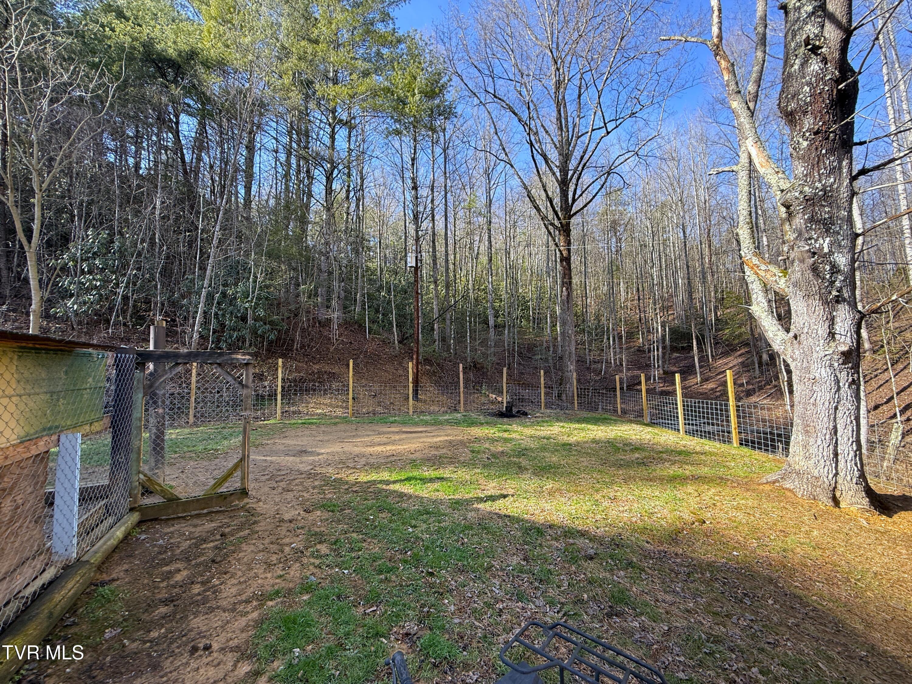 1560 Blue Mill Road, Del Rio, Tennessee image 30