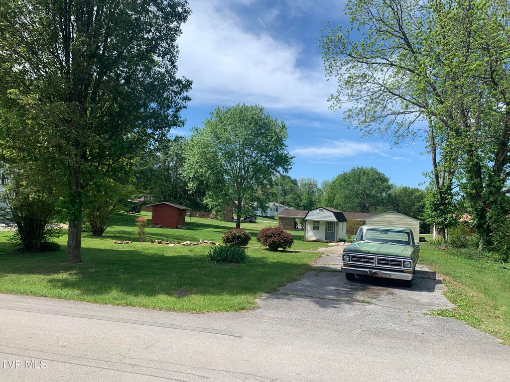 Photo of 704 Ann Street, Greeneville, TN 37743 (MLS # 9993960)