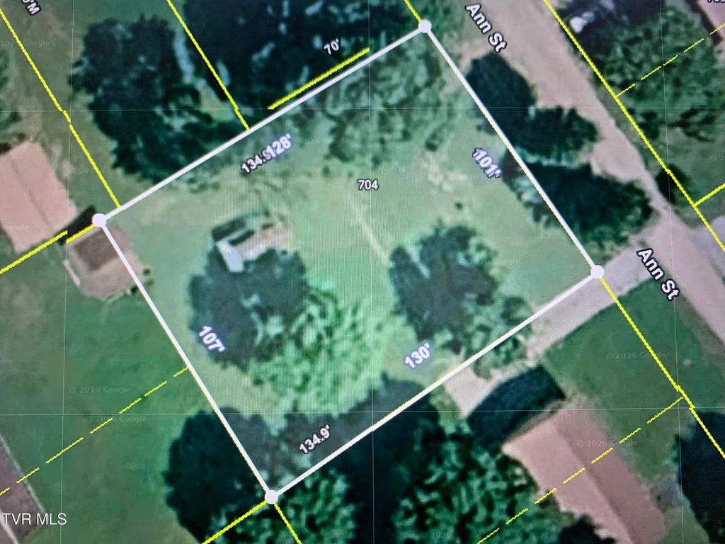 Photo of 704 Ann Street, Greeneville, TN 37743 (MLS # 9993960)