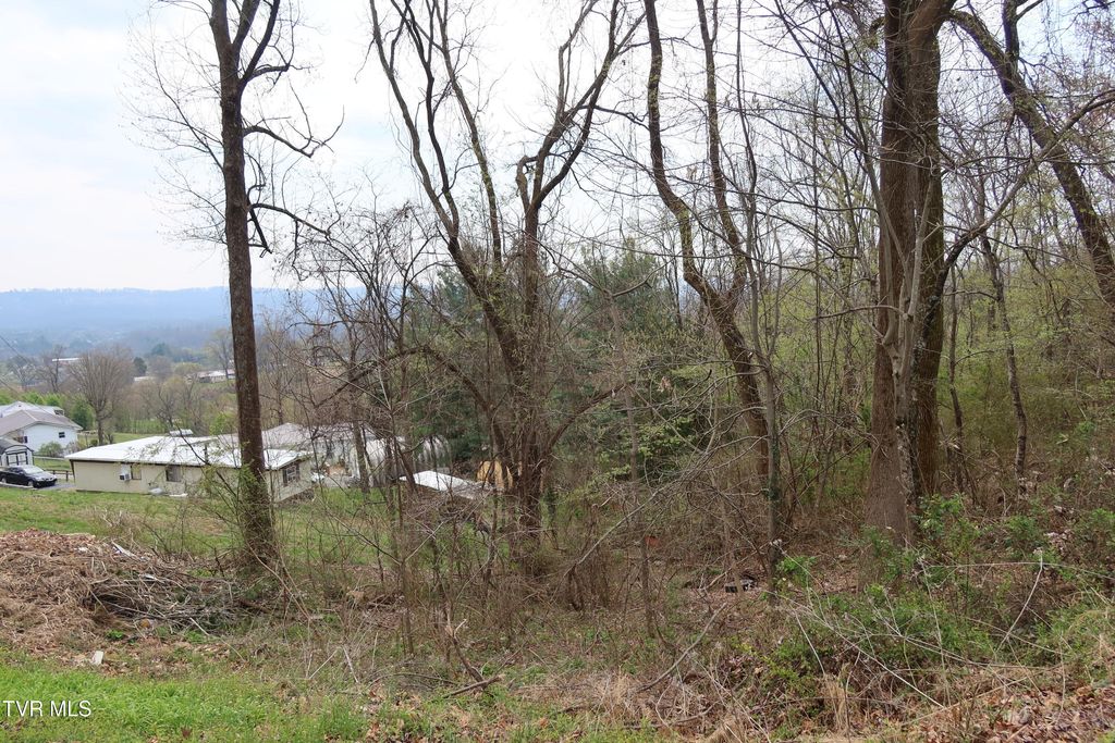 Photo of 410 Crystal View Street, Kingsport, TN 37660 (MLS # 9992890)