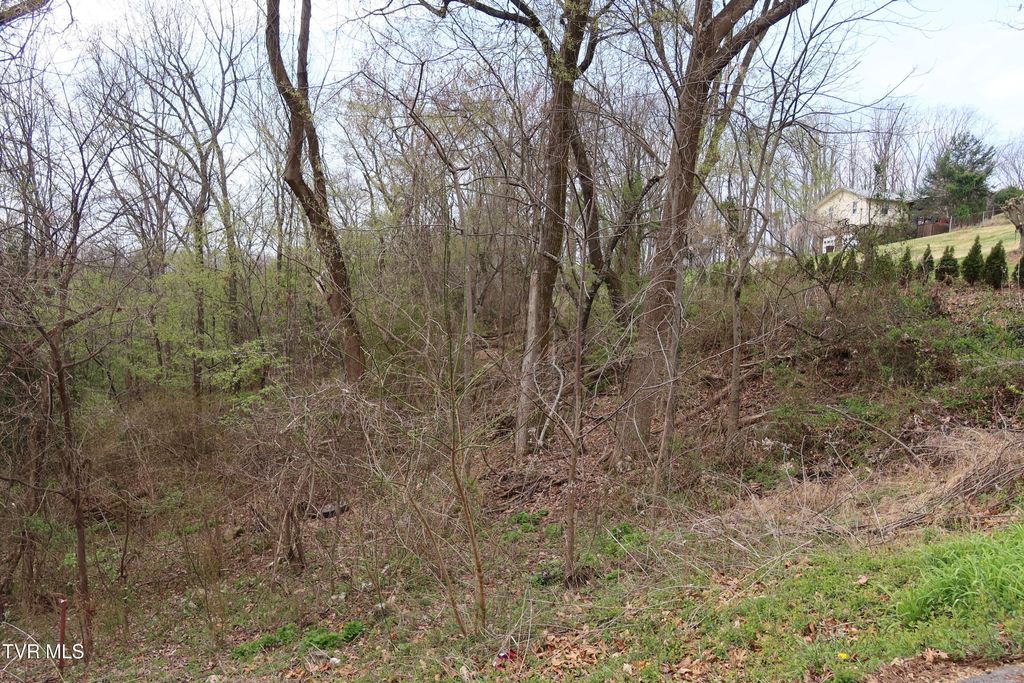 Photo of 410 Crystal View Street, Kingsport, TN 37660 (MLS # 9992890)