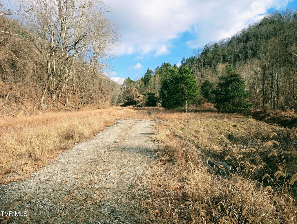 Photo of Tbd Rockhouse Road, Clintwood, VA 24228 (MLS # 9991517)