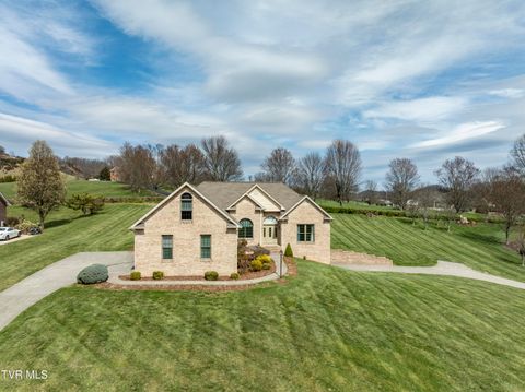Photo of 213 Keeland Drive, Johnson City, TN 37615 (MLS # 9992651)