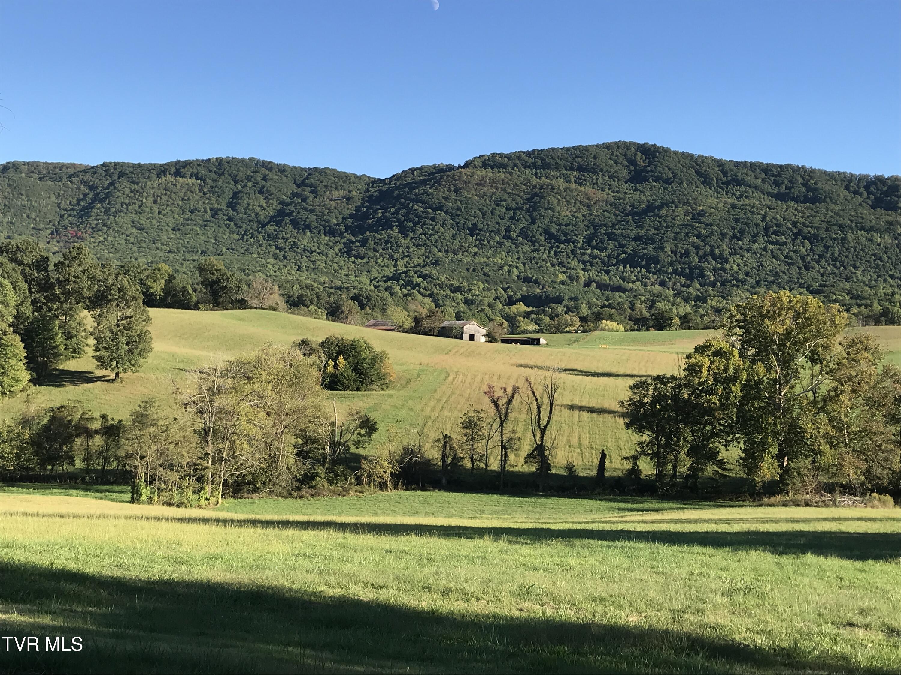 2665 Little Meadow Creek Road, Greeneville, Tennessee image 22