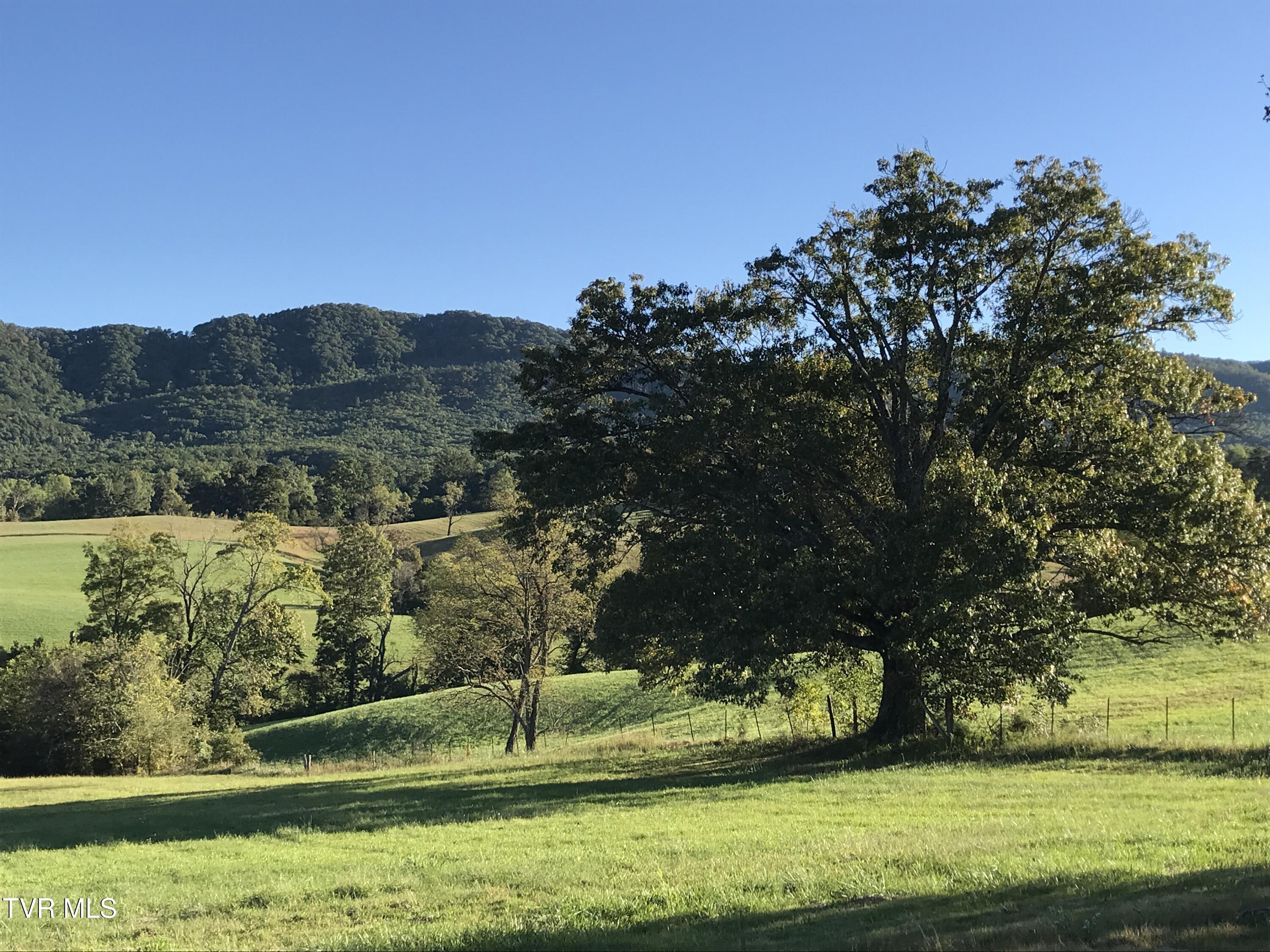 2665 Little Meadow Creek Road, Greeneville, Tennessee image 23