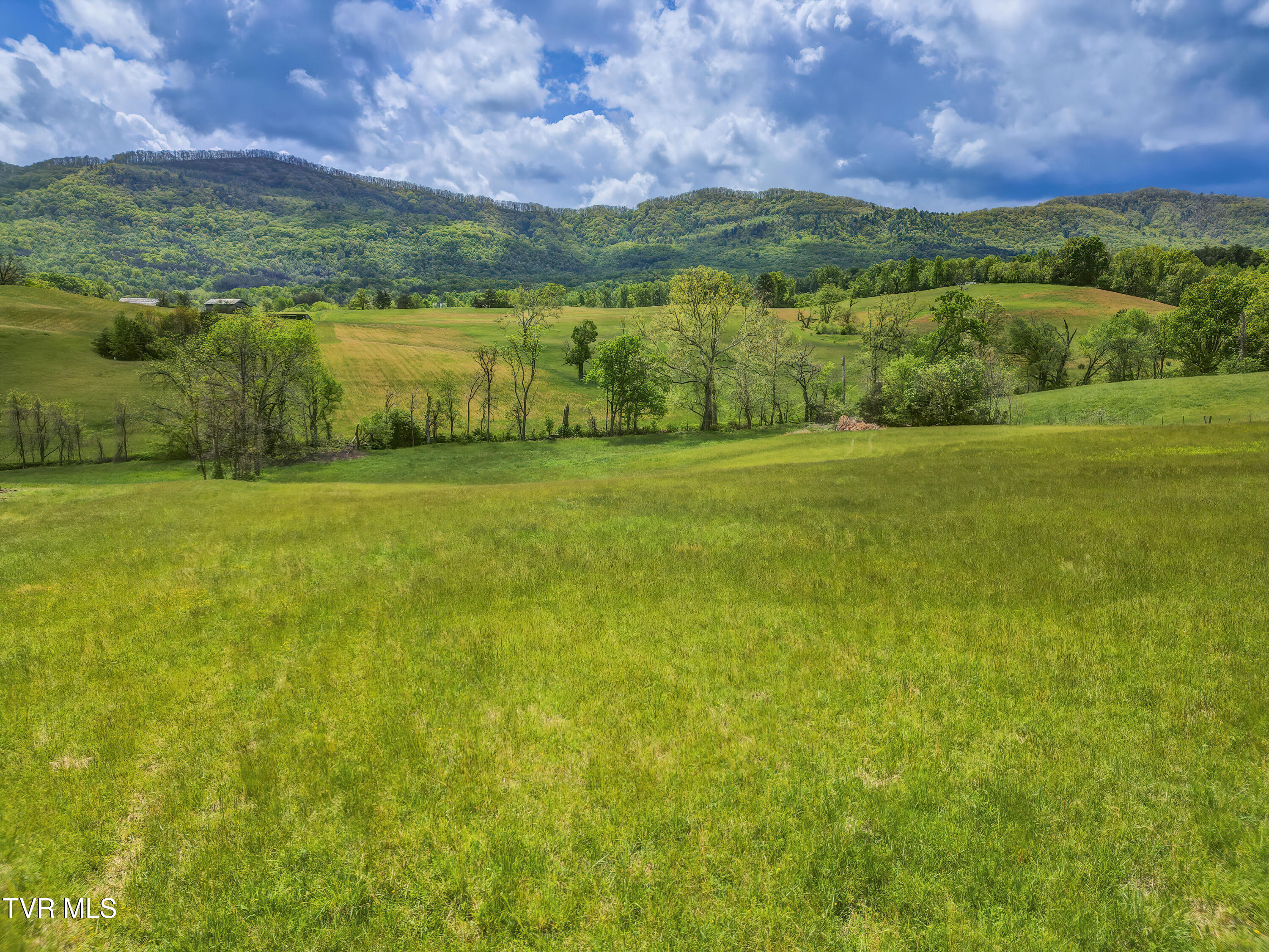 2665 Little Meadow Creek Road, Greeneville, Tennessee image 24
