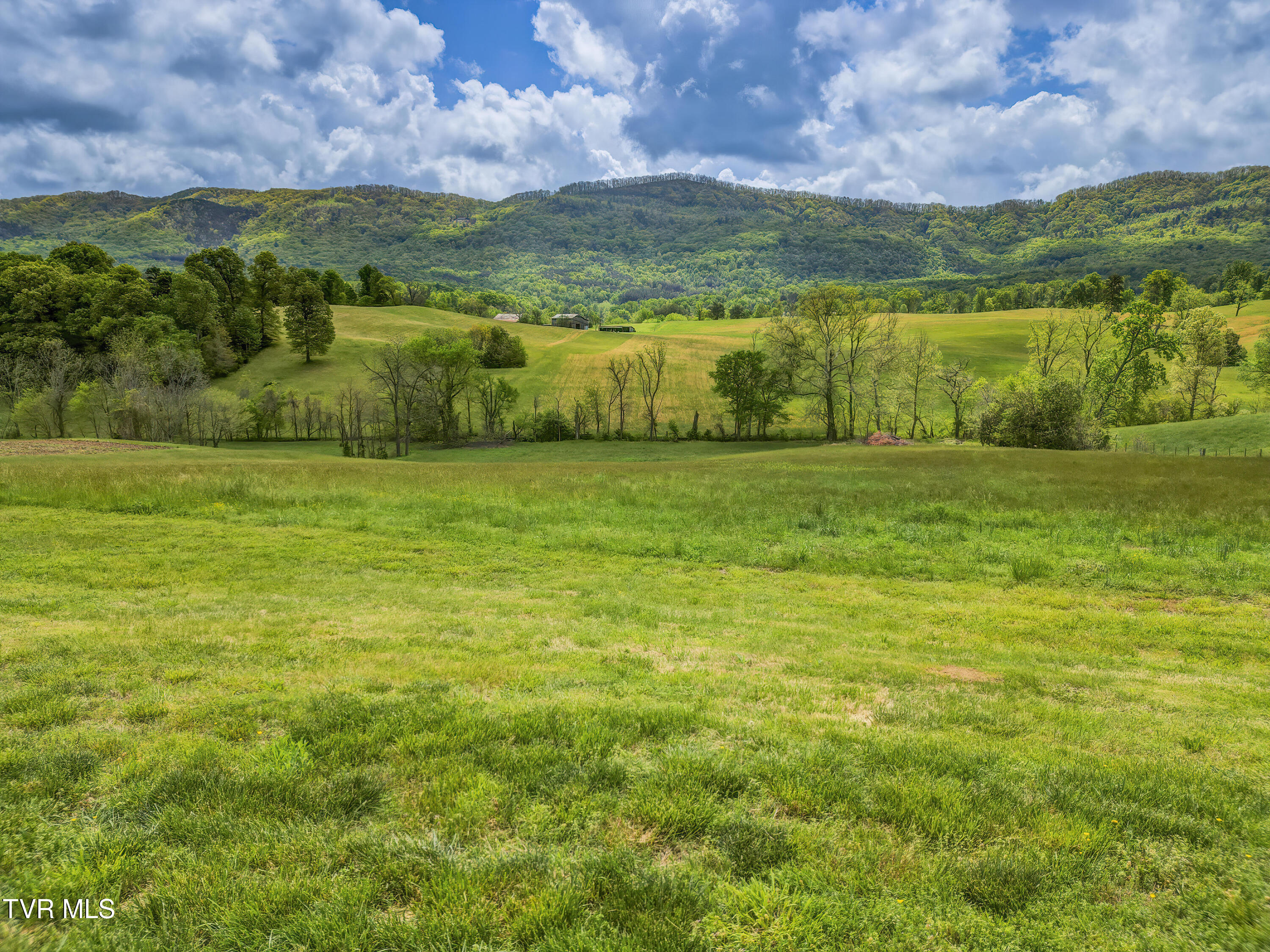 2665 Little Meadow Creek Road, Greeneville, Tennessee image 25