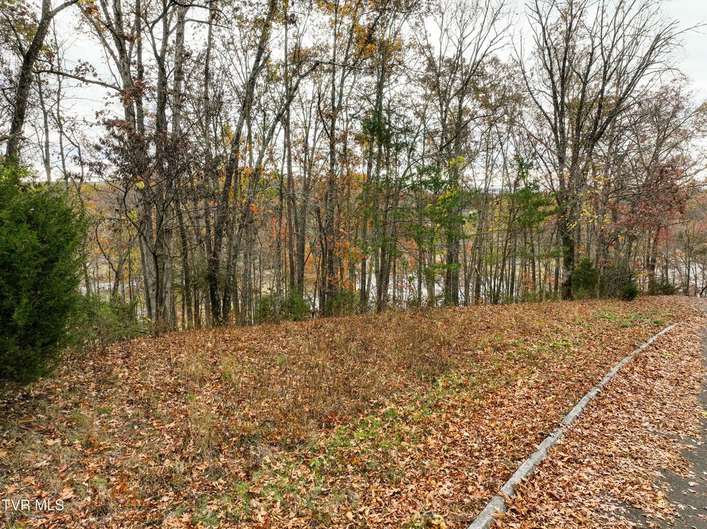 Photo of 121 Pointe Drive, Piney Flats, TN 37686 (MLS # 9984068)