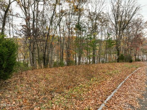 Vacant Land For Sale - 121 Pointe Drive<br/> Piney Flats, TN 37686