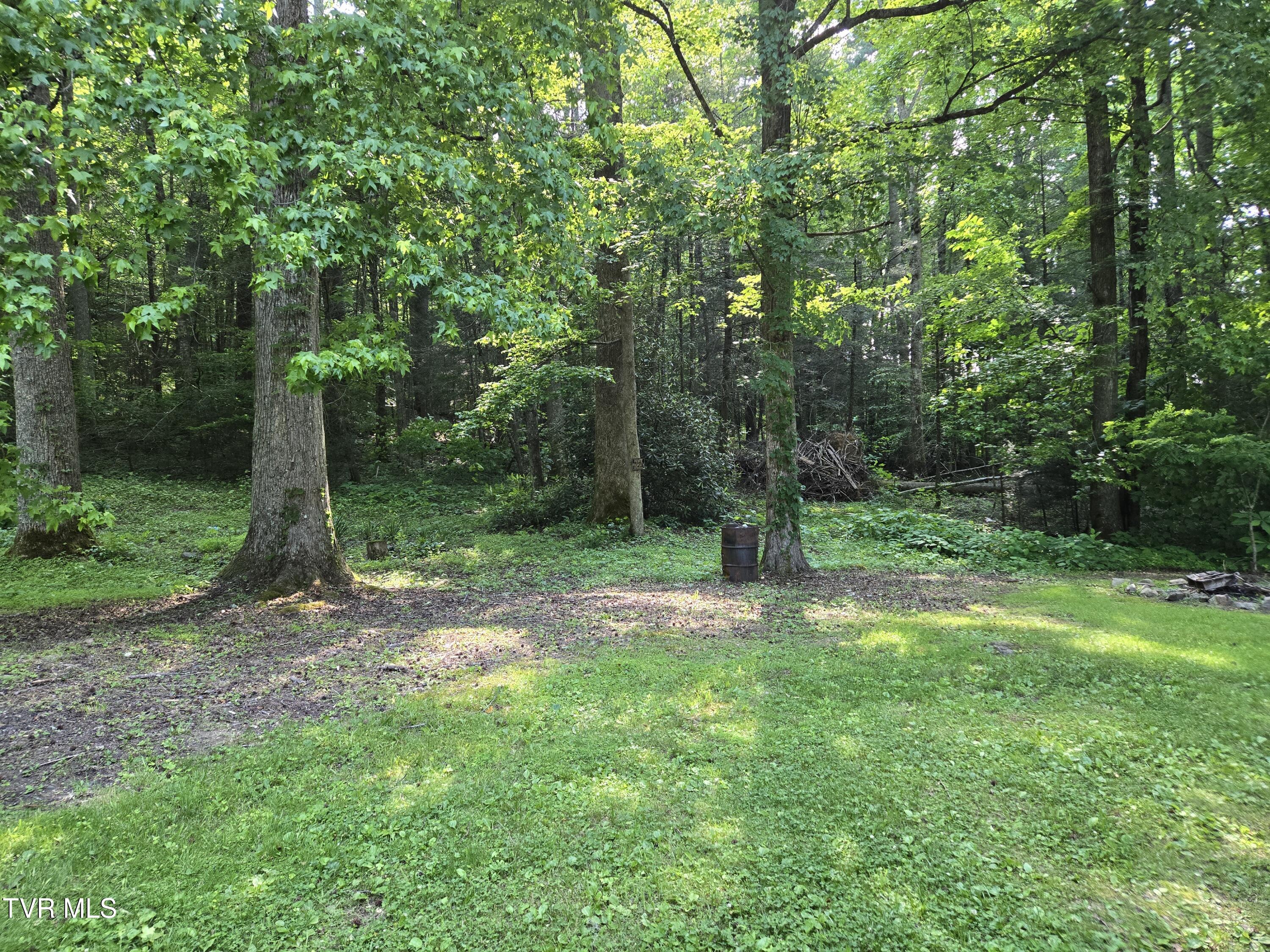 1510 Rock Creek Road, Erwin, Tennessee image 17