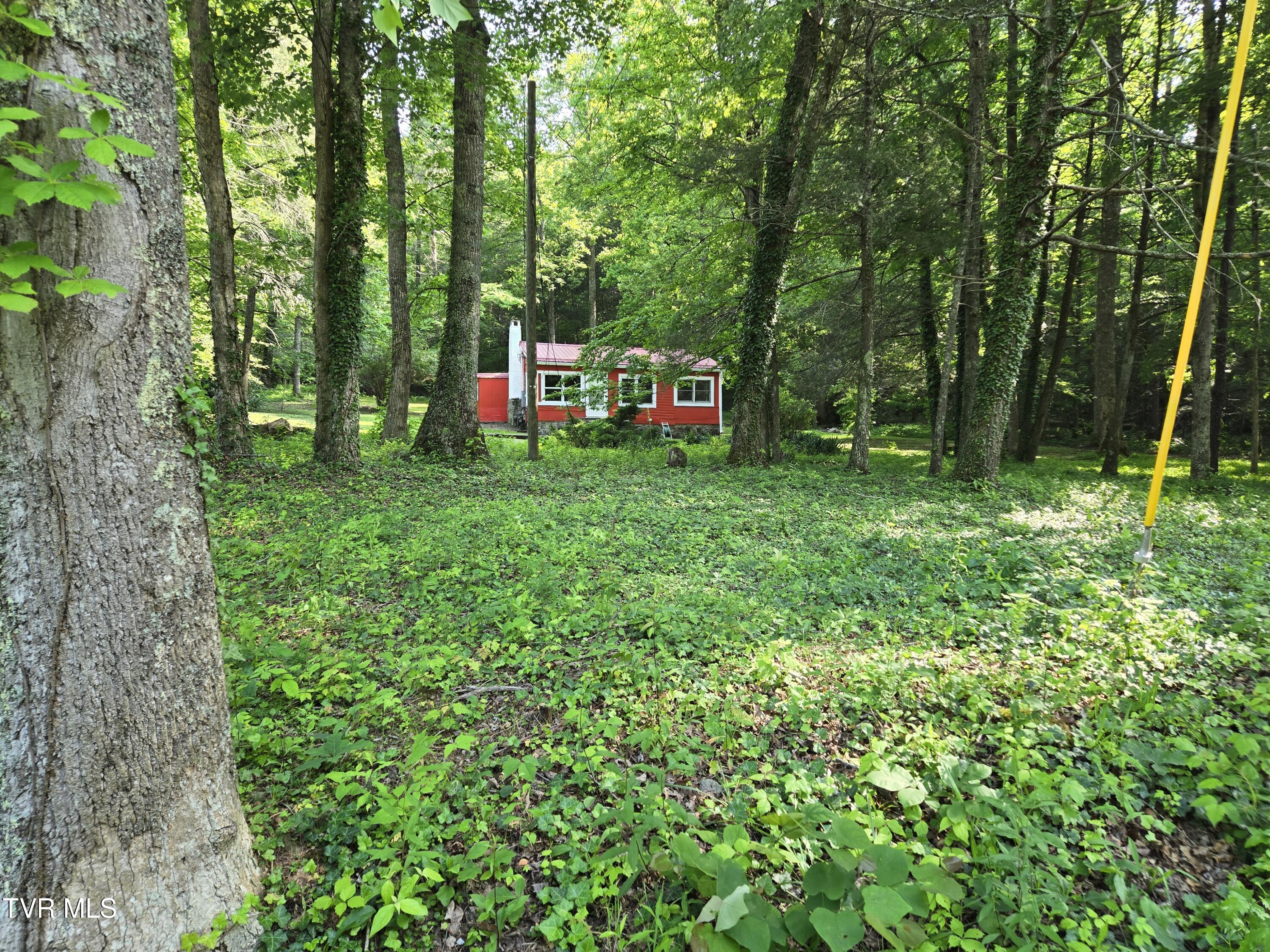 1510 Rock Creek Road, Erwin, Tennessee image 3