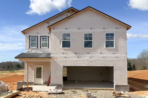 Photo of 631 Main Street, Jonesborough, TN 37659 (MLS # 9992753)