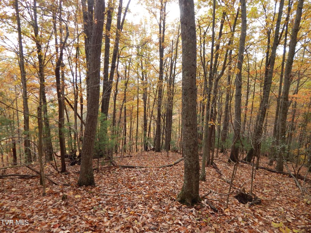 Photo of Tbd Spoon Gap Road, Abingdon, VA 24211 (MLS # 9991992)