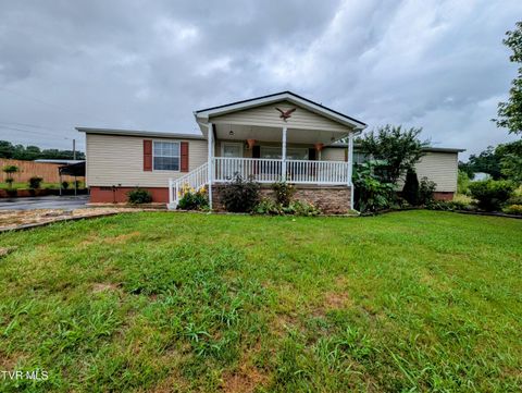 Homes For Sale - 270 Payne Ridge Road<br/> Church Hill, TN 37642