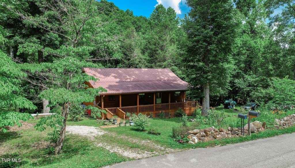 Photo of 969 Carson Springs Road, Newport, TN 37821 (MLS # 9997088)