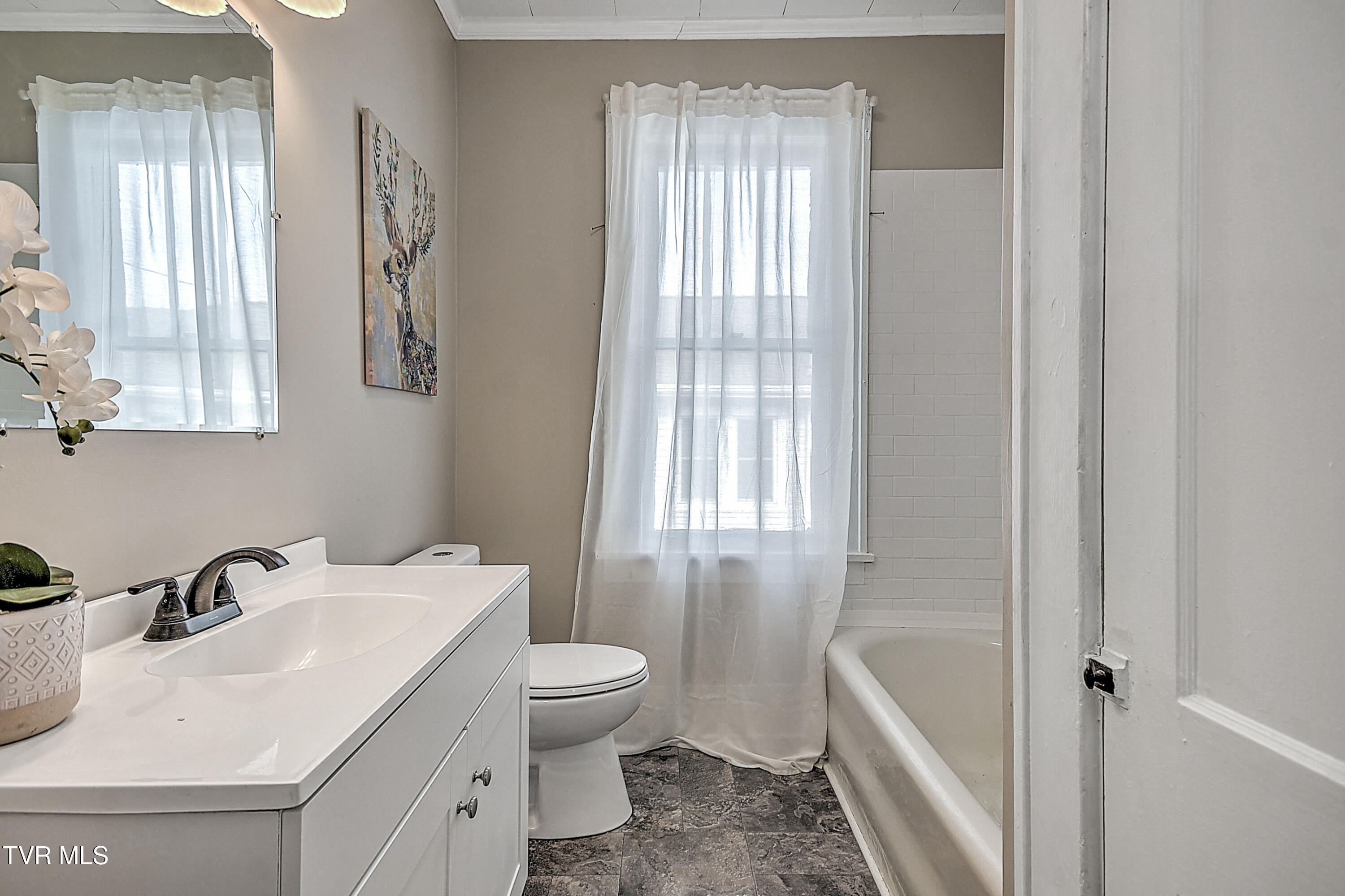 1244 Virginia Avenue, Bristol, Tennessee image 23