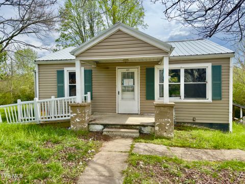 Photo of 127 Chapel Street, Greeneville, TN 37743 (MLS # 9993358)