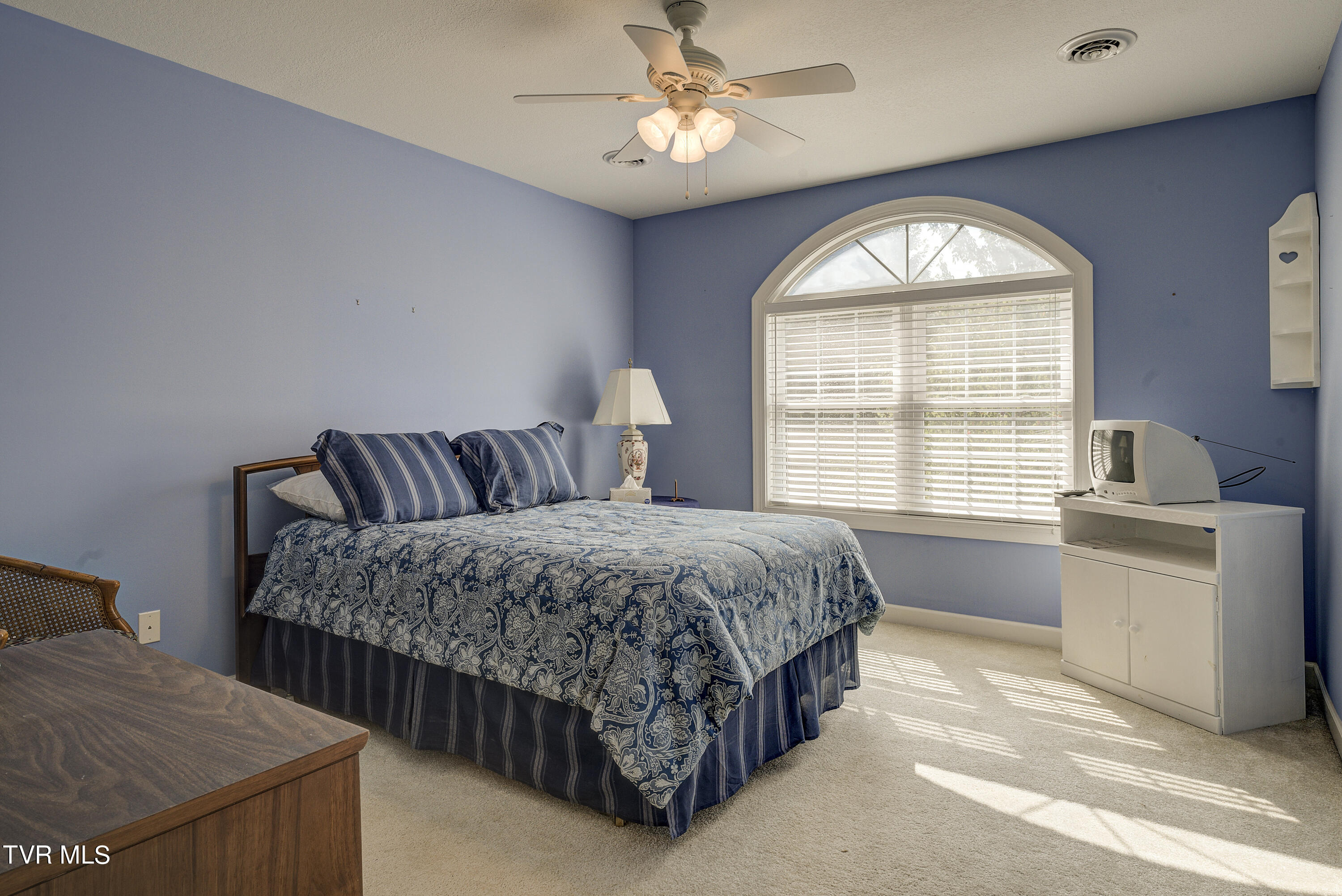 22 Hickory Point, Jonesborough, Tennessee image 45