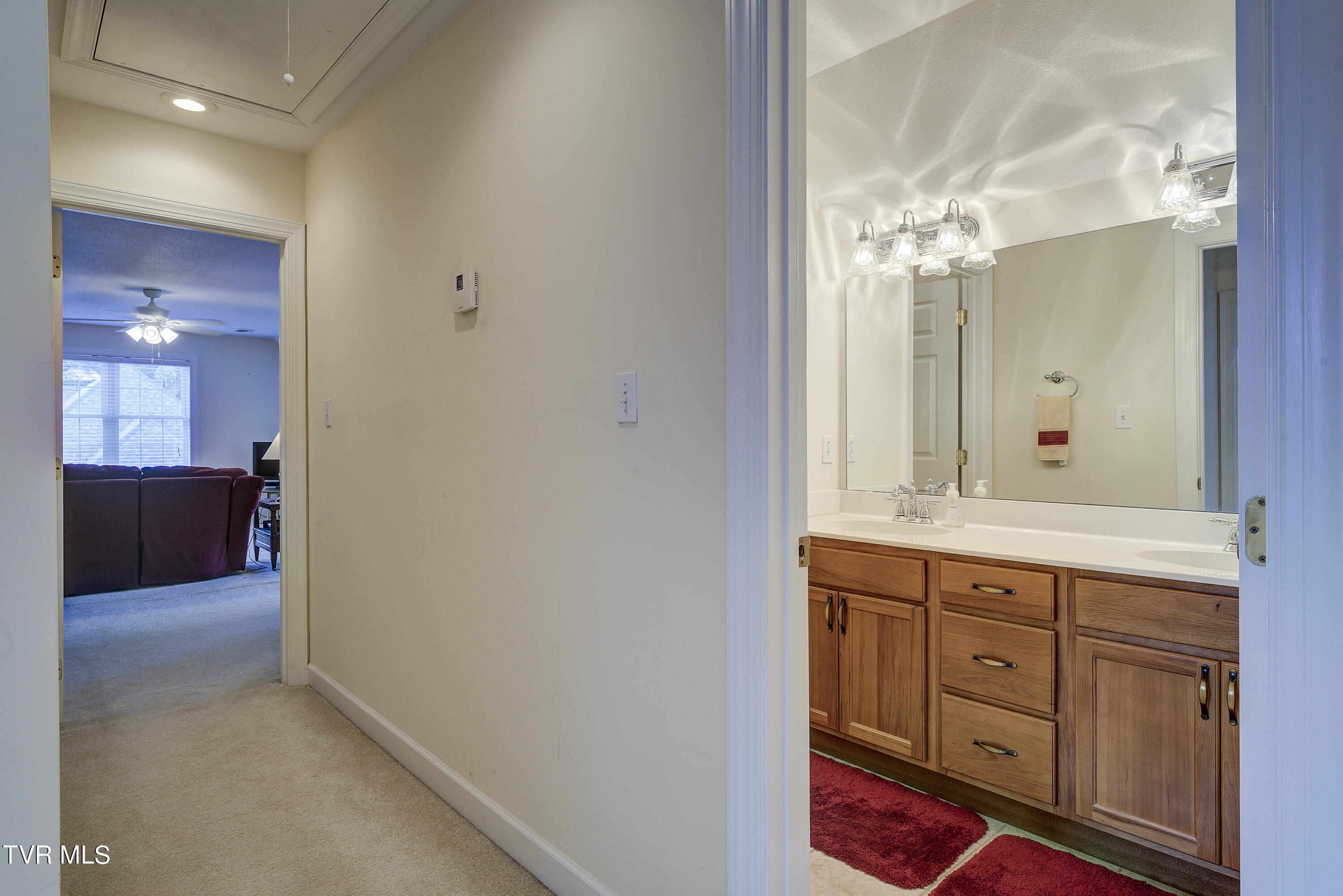 22 Hickory Point, Jonesborough, Tennessee image 43