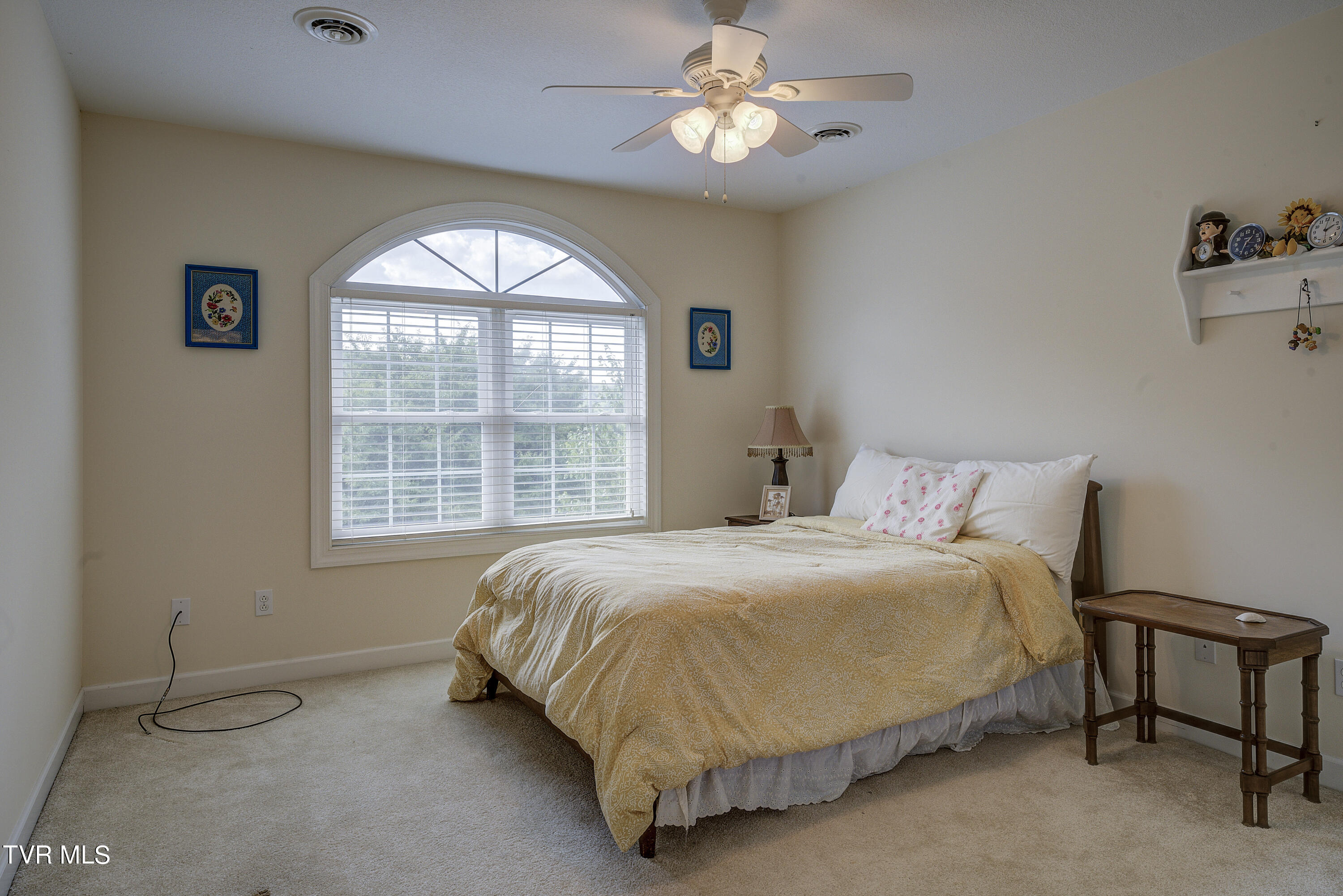 22 Hickory Point, Jonesborough, Tennessee image 41