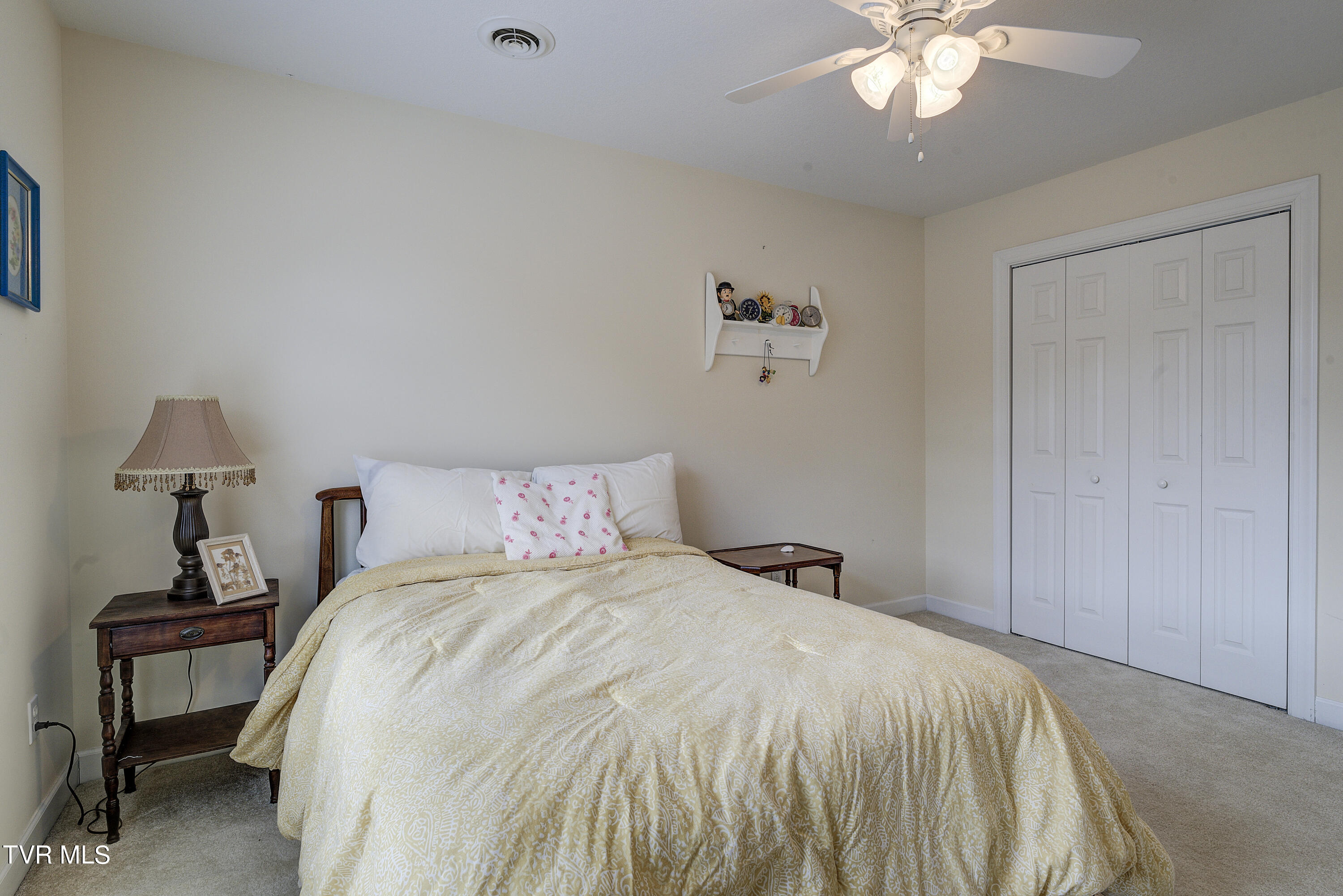 22 Hickory Point, Jonesborough, Tennessee image 42