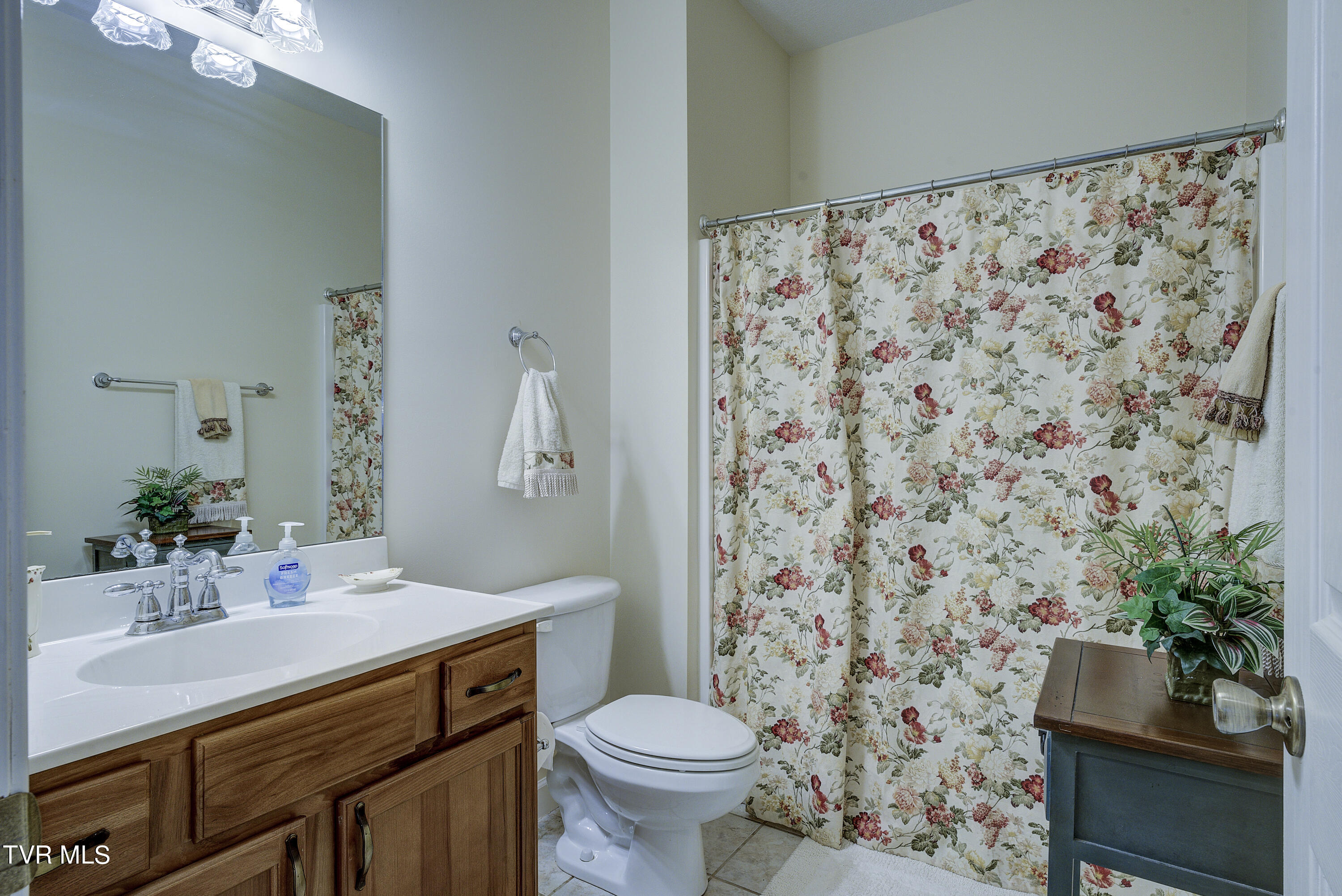 22 Hickory Point, Jonesborough, Tennessee image 31