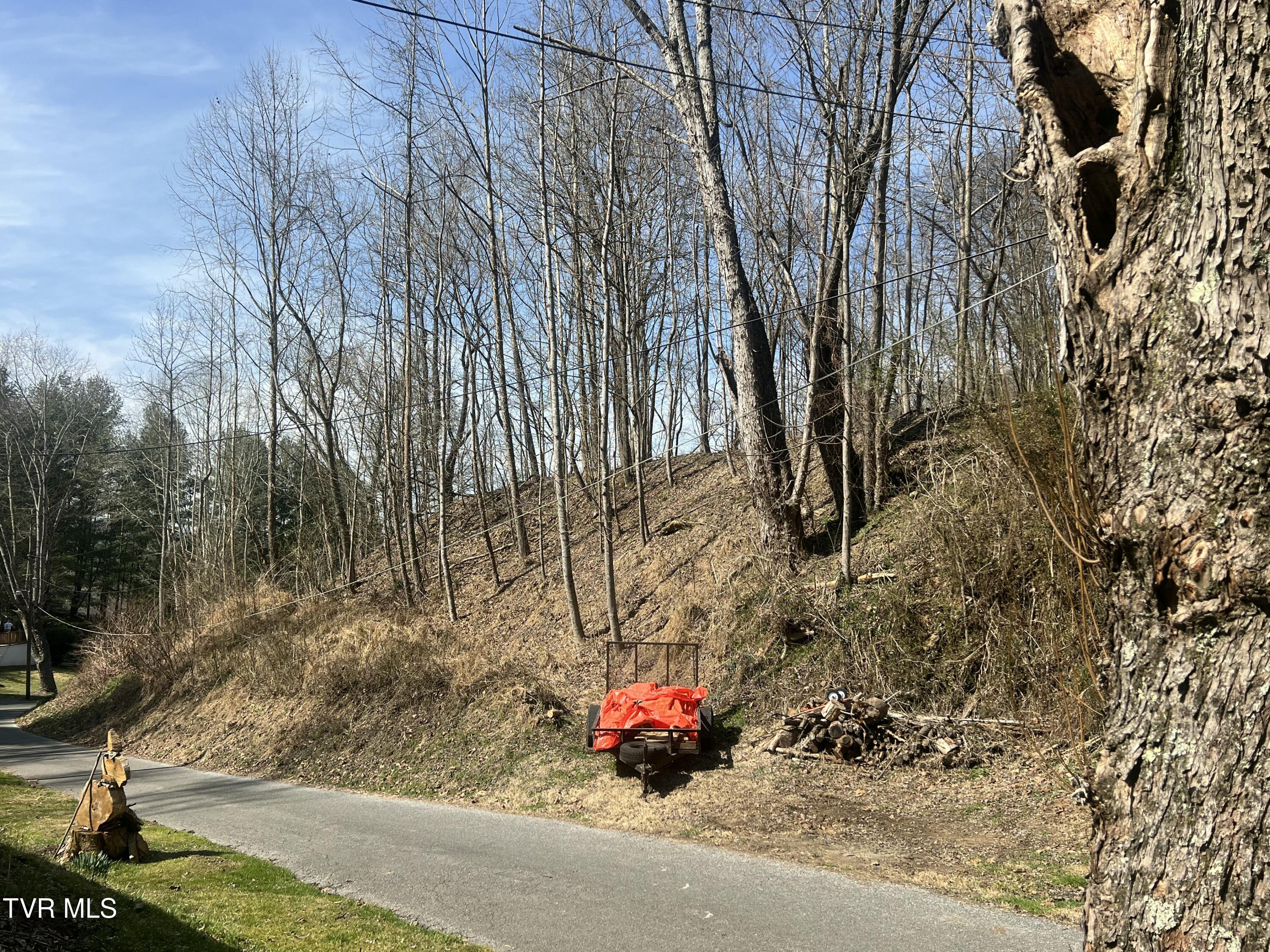 117 Icy Lane, Elizabethton, Tennessee image 4